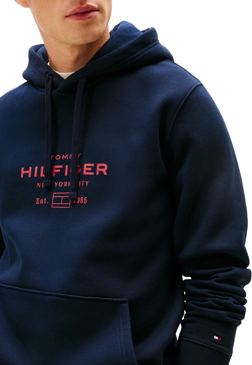Мужская толстовка с капюшоном Tommy Hilfiger средней плотности с фирменным напечатанным графическим логотипом, Desert Sky — фото 2
