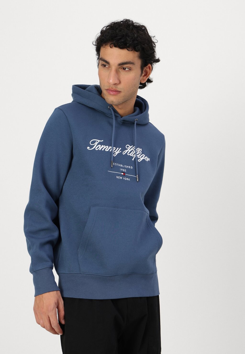 Толстовка SCRIPT LOGO HOODY Tommy Hilfiger, синий — фото 3