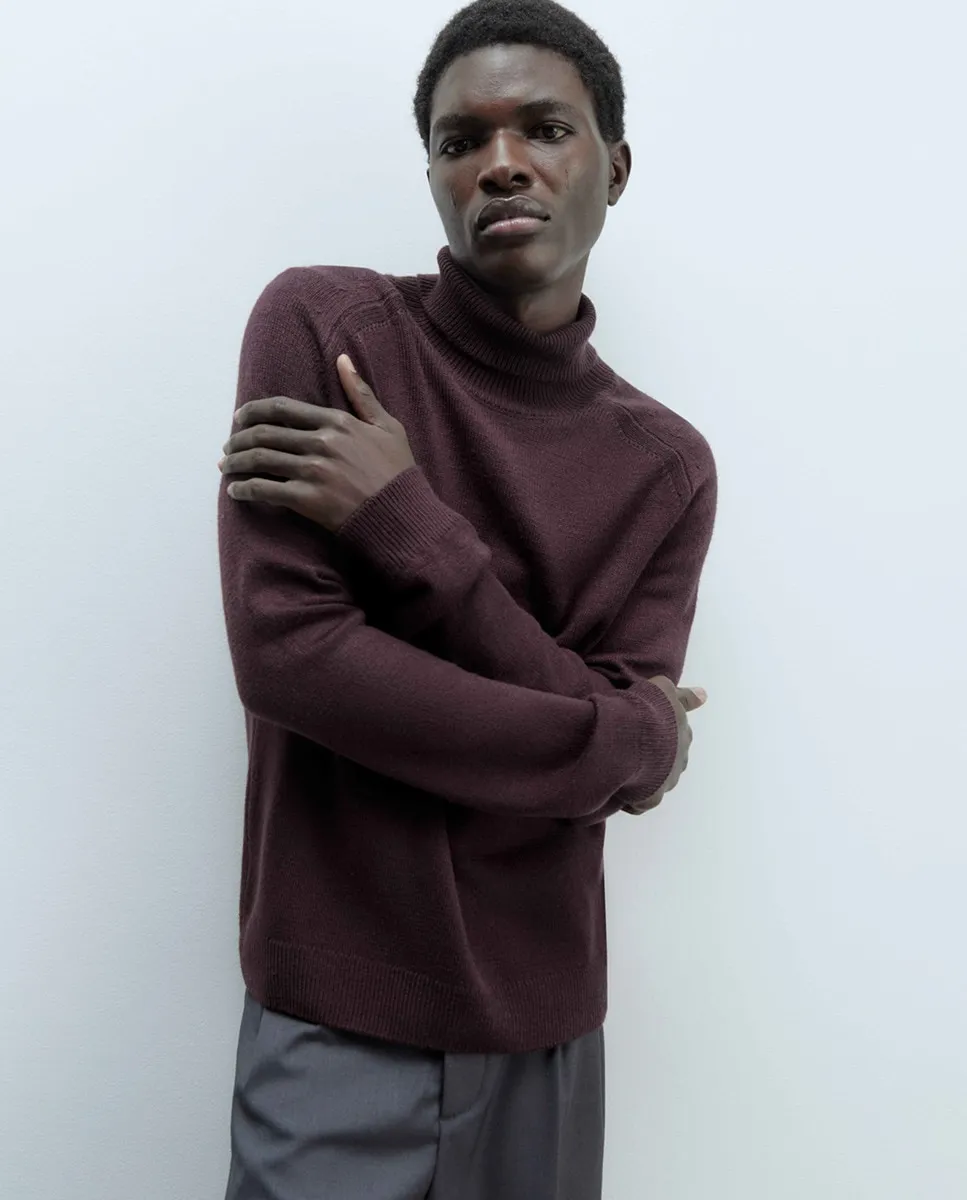 

Мужская водолазка Sfera, гранатовый