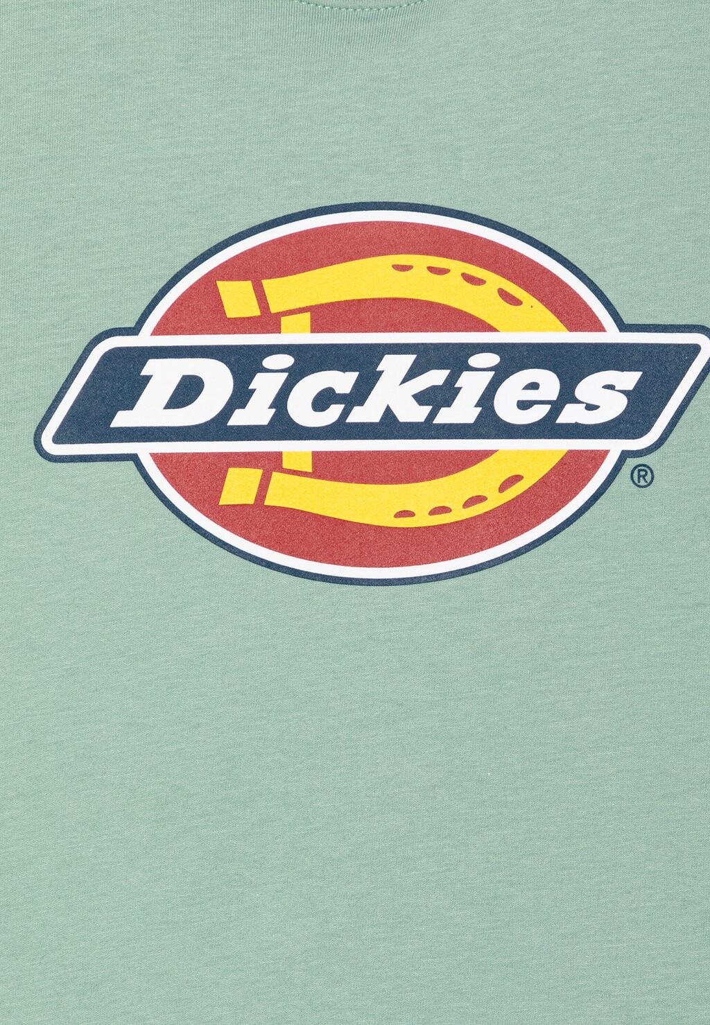 

Футболка YOUTH LOGO TEE UNISEX Dickies, бирюзовый