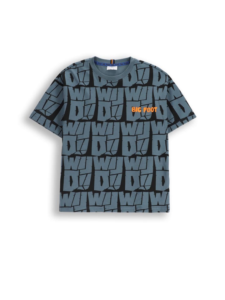 

Хлопковая футболка с короткими рукавами и ярким рисунком Coccodrillo