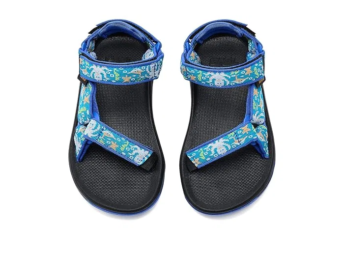 Сандалии Teva Kids Hurricane XLT Jr, Ocean Creatures Dazzling Blue — фото 3