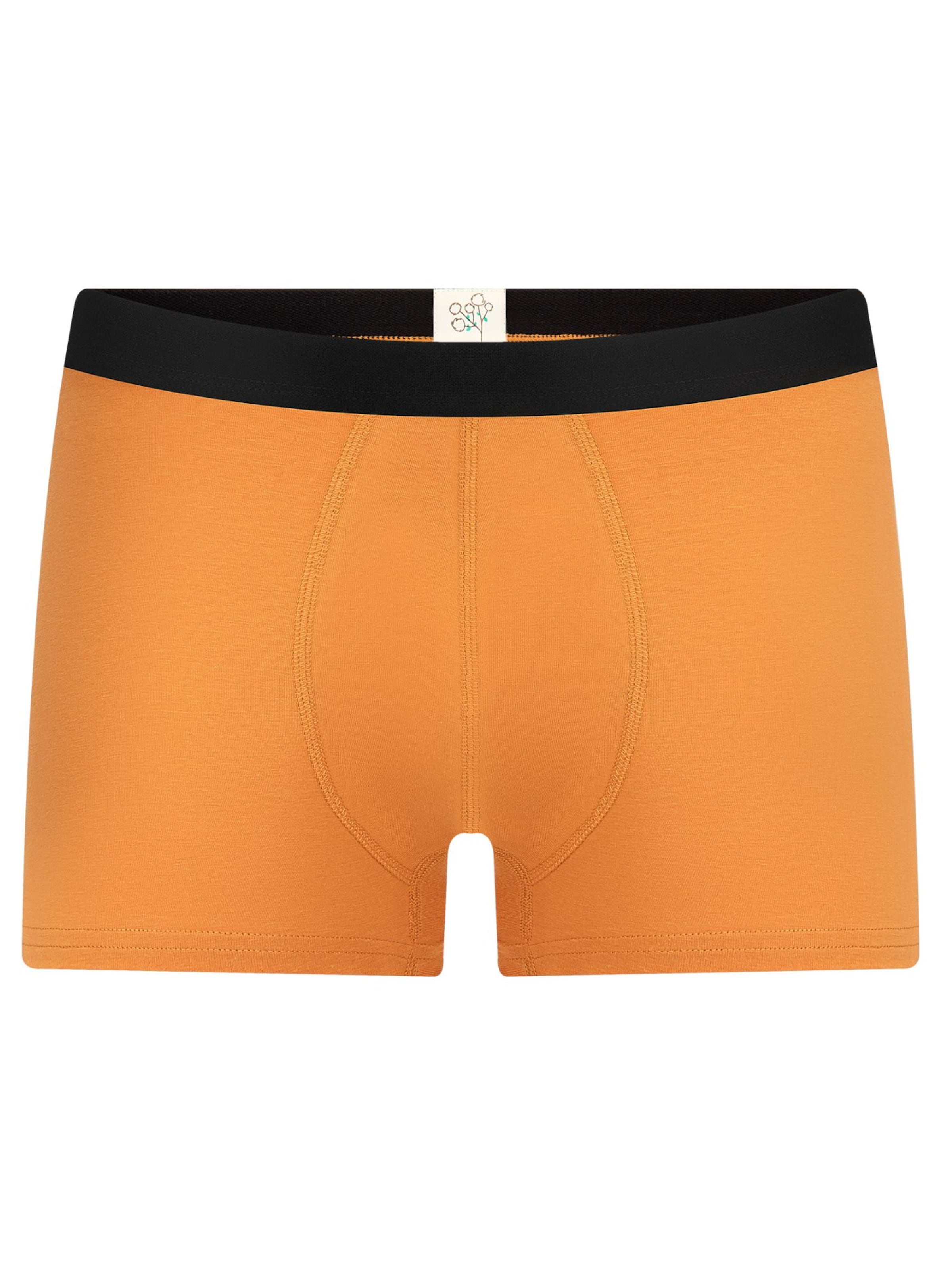 

Albero Natur Боксеры в цвете Mustard