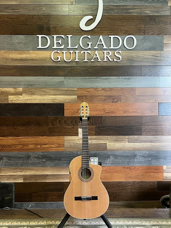 

Акустическая гитара Ortega RCE180G Traditional Series Guitar