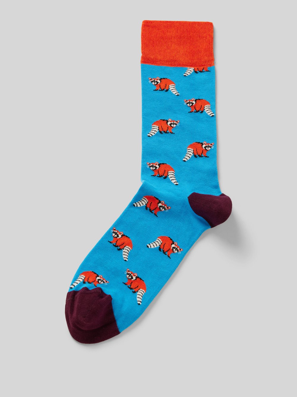 

Носки с узорчатой ​​вышивкой, модель «Look Racoon» DillySocks, светло-голубой
