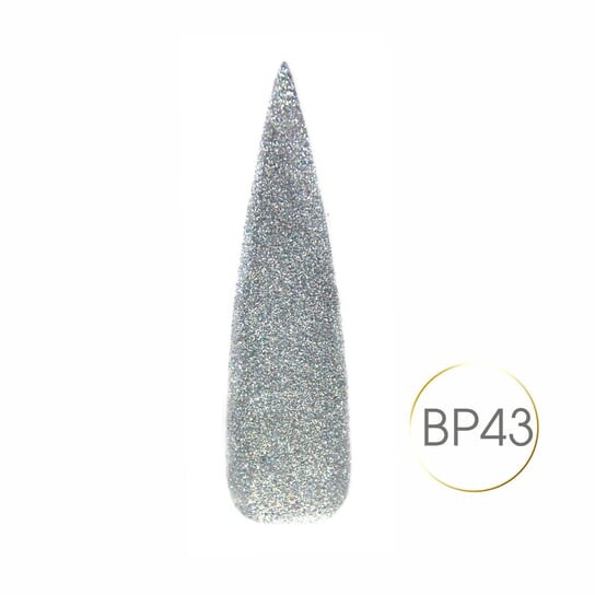 

Блестящая пыль - Серебряная голограмма Bp - 43, SUNFLOWER
