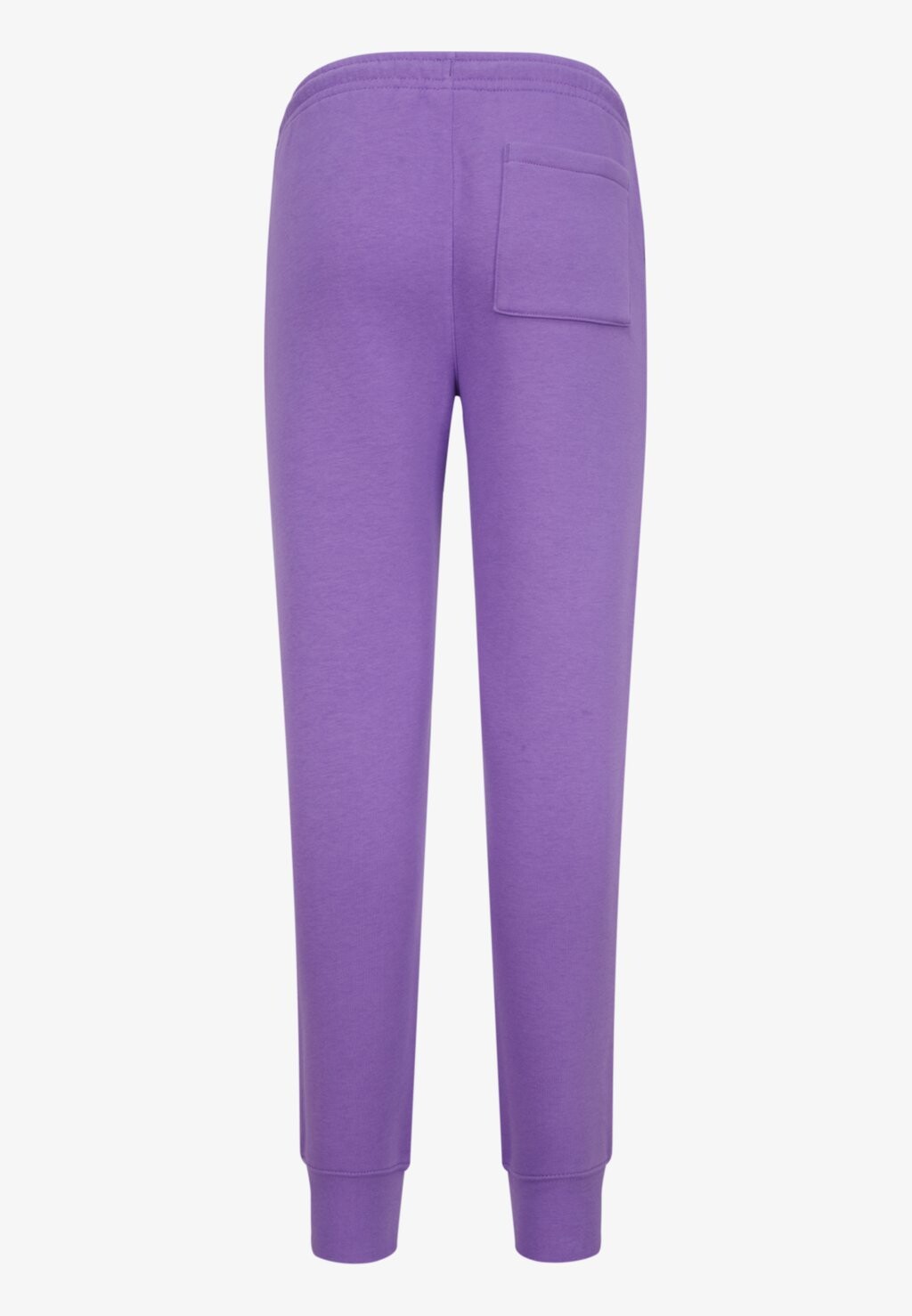 

Спортивные штаны BROOKLYN PANT UNISEX Jordan, фиолетовый