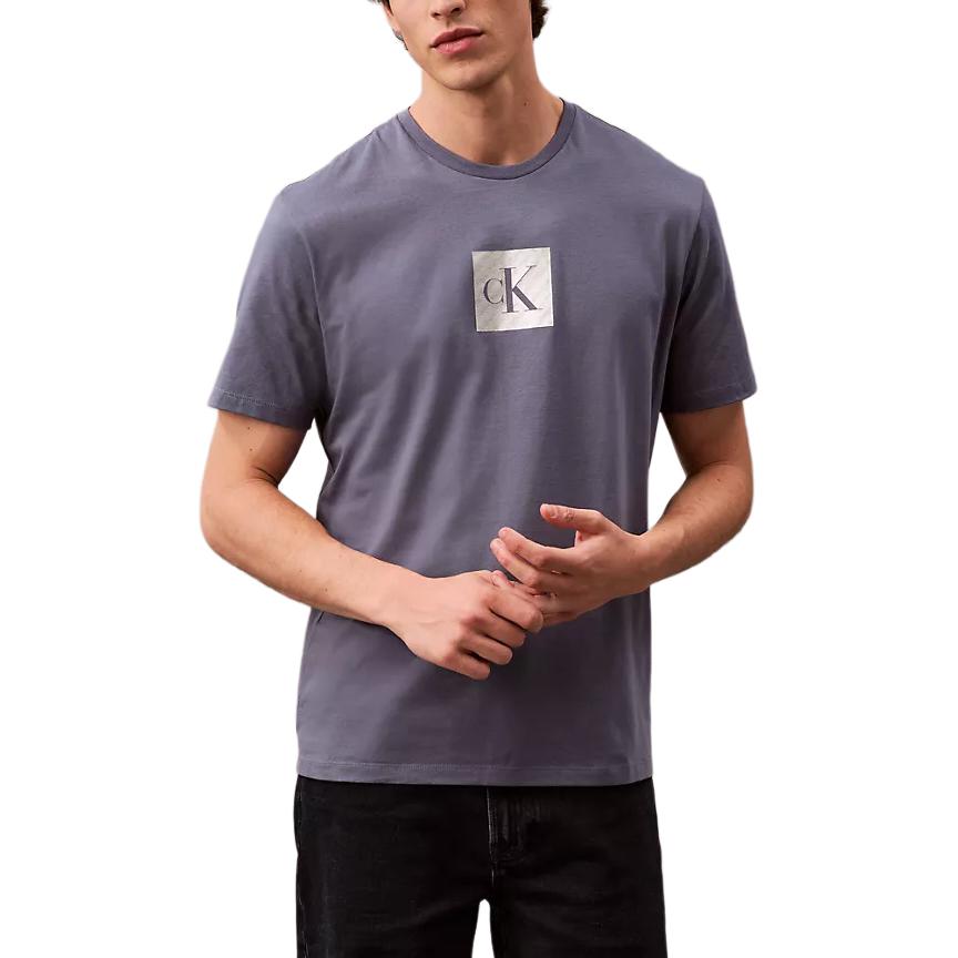 

Футболка CALVIN KLEIN мужская серая, серый