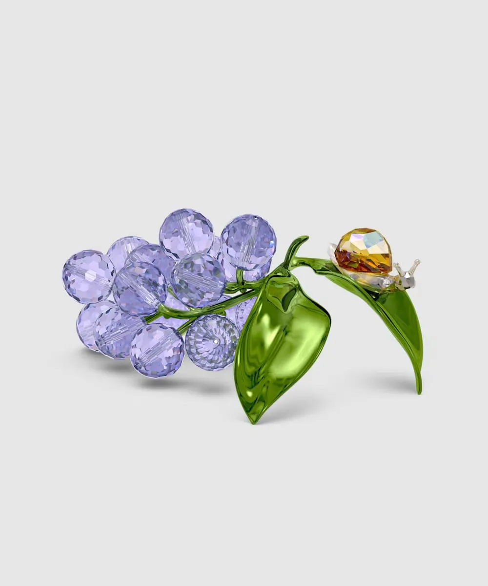 

Декоративная фигурка Swarovski Idyllia Snail and Blueberry, разноцветный