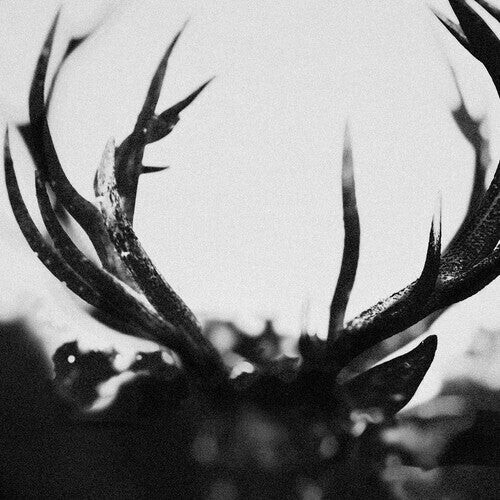 

Виниловая пластинка Ihsahn - Ihsahn - Black Yolk