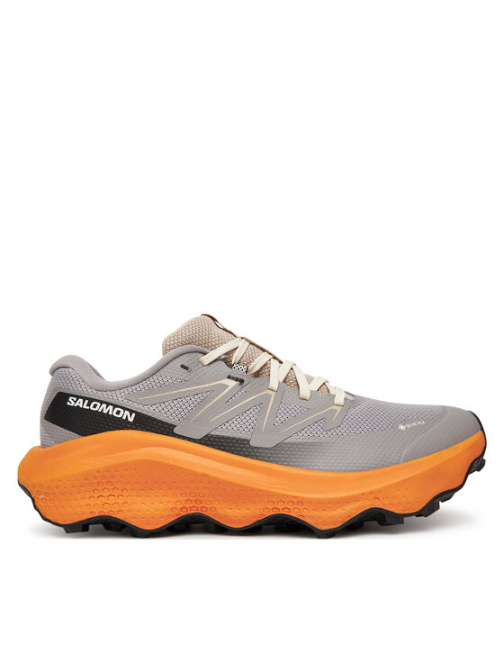

Беговые кроссовки Ultra Flow 2 Gore-Tex L47884200 Salomon, серый