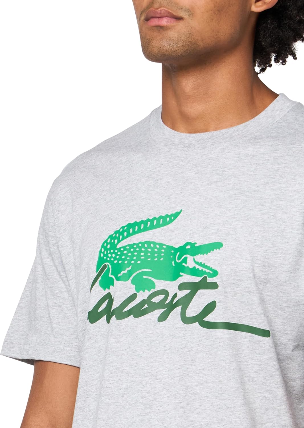 Мужская хлопковая футболка с принтом Lacoste, Grey Chine — фото 3