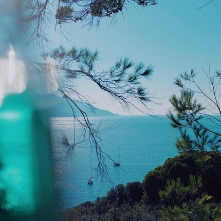 Дезодорант для комнаты Acqua Elba, 500 мл, 16 эт. Оз., Acqua Dell'Elba — фото 3