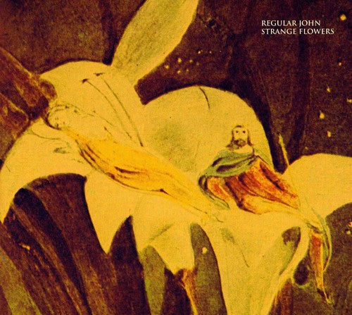 

CD диск Regular John: Strange Flowers