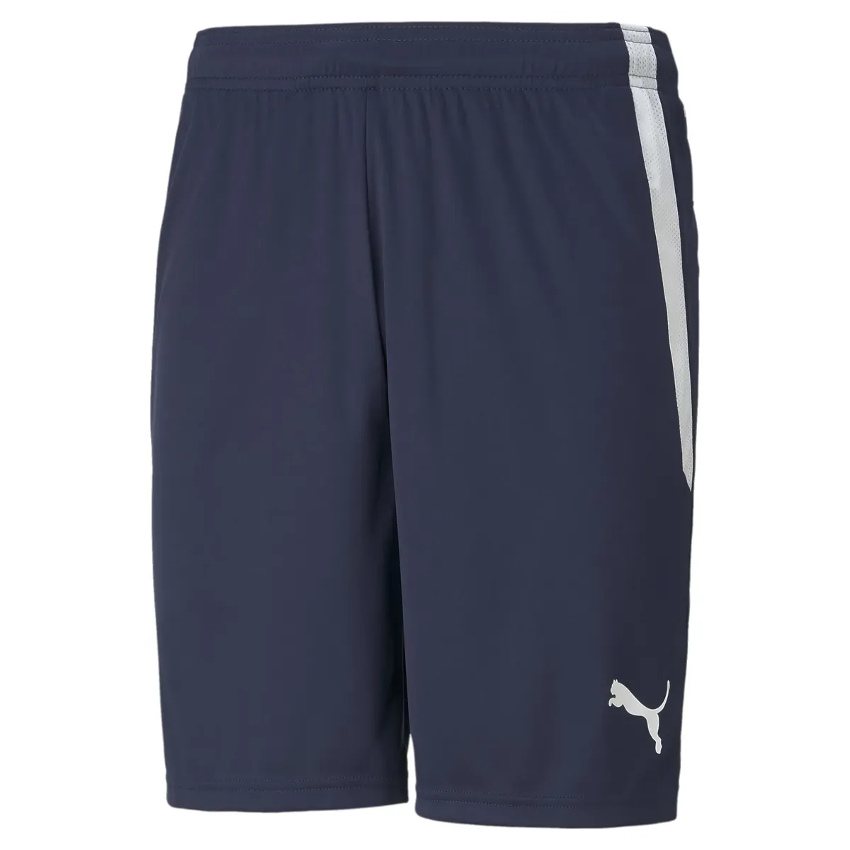 

Тренировочные шорты PUMA "TEAMLIGA SHORTS", белый