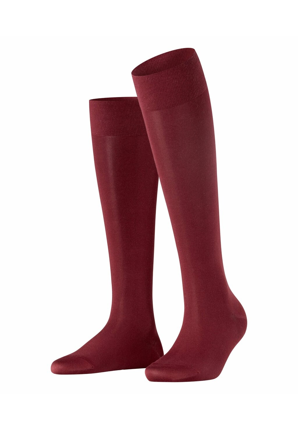 

Носки выше колена TOUCH FALKE, Бордо