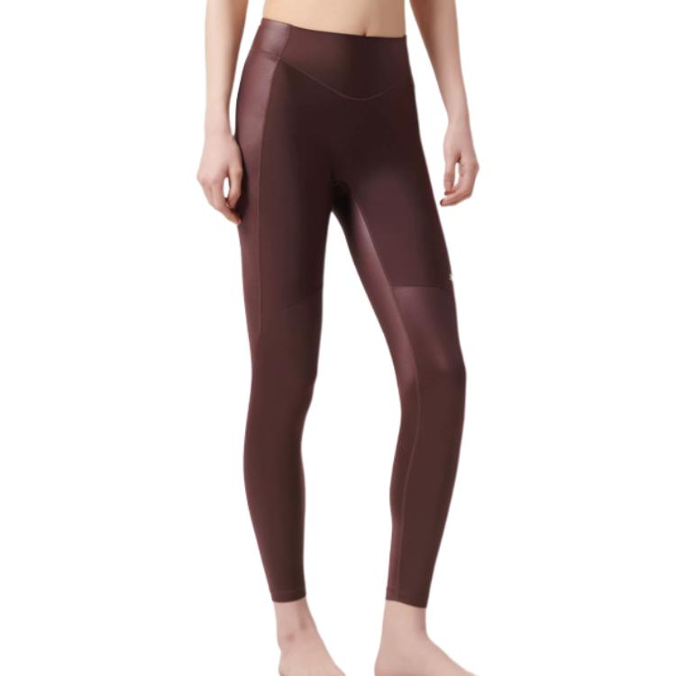 

Женские спортивные брюки XBIONIC, Brownie Powder