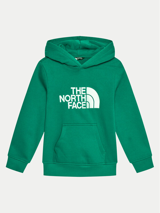 

Толстовка обычного кроя The North Face, зеленый