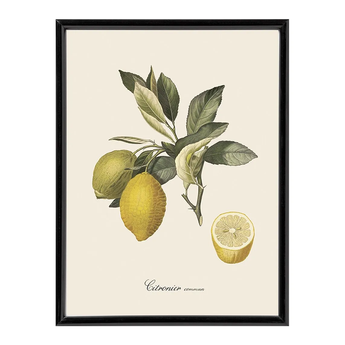

Набор Dybahl Lemon Print Pack + рамка. - El Corte Inglés, черный