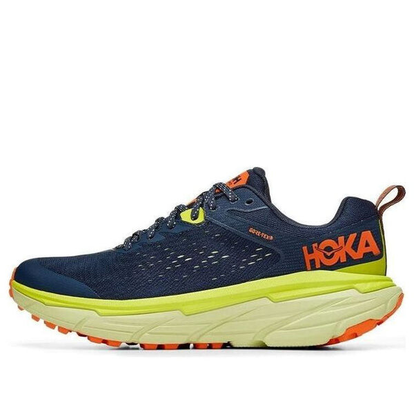 

Кроссовки challenger atr 6 gtx 'outer space butterfly' Hoka One One, мультиколор