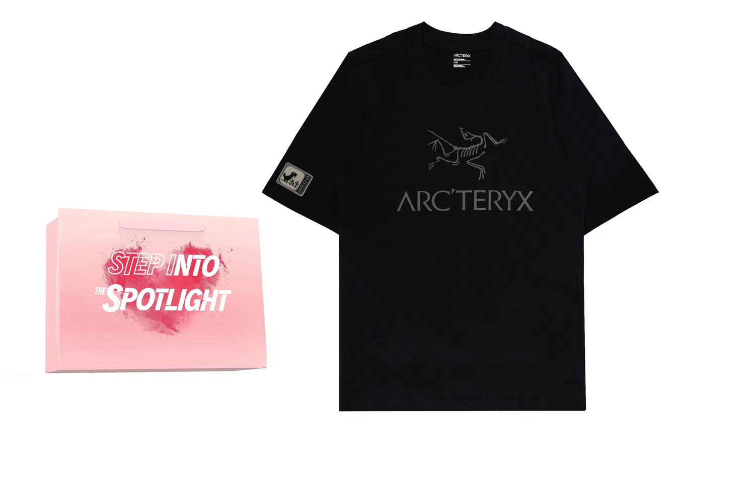 Arcteryx Футболка с принтом IONIA Arc'teryx Pink Shopping Bag