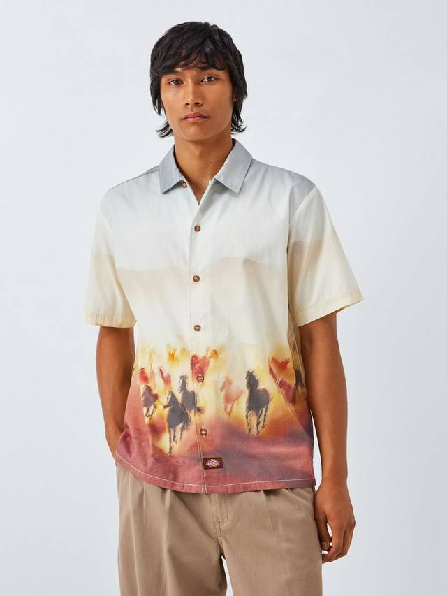 

Хлопковая футболка Regular Fit с принтом Run Wild Dickies, Oak Buff