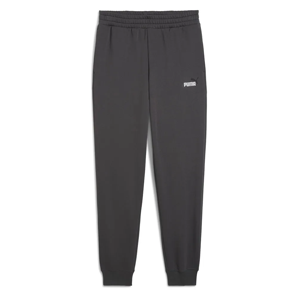 

Спортивные брюки Puma ESS 2 No 1 Logo FL Regular Fit, серый