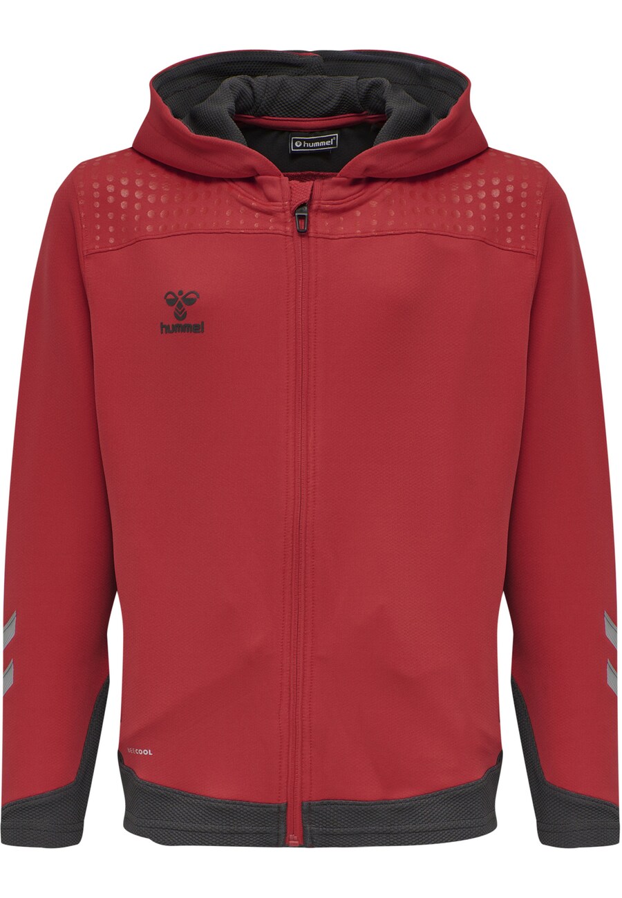 

Спортивная толстовка с капюшоном на молнии Hummel, цвет Rusty red