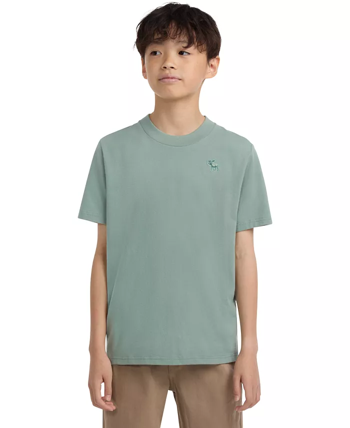 

Футболка Essential для мальчиков abercrombie kids, зеленый