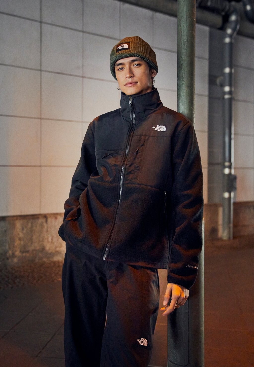 

Флисовая куртка КУРТКА ДЕНАЛИ The North Face, tnf черный