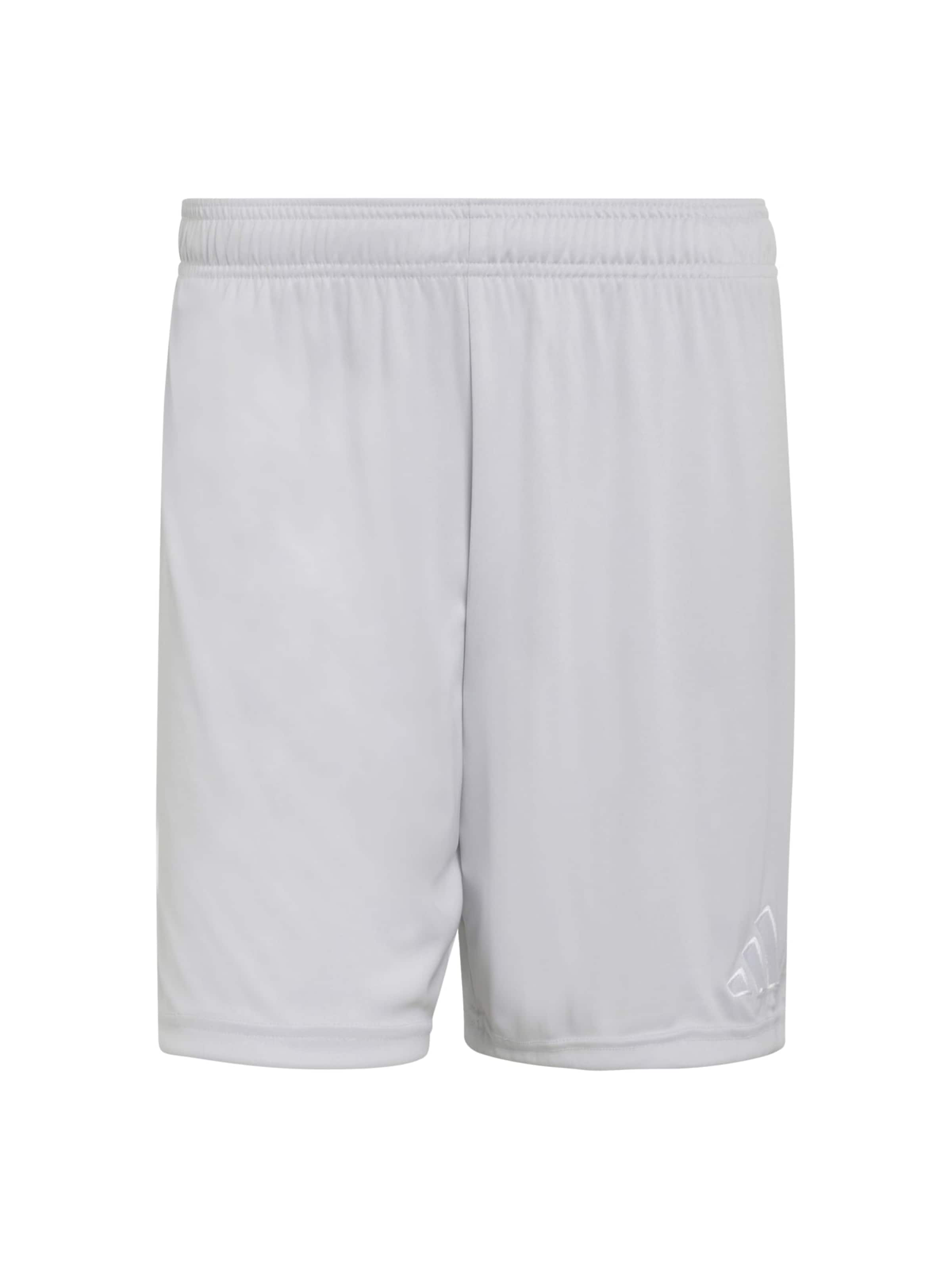

Adidas Performance Шорты для тренировок Regular 'ENT26' в сером цвете