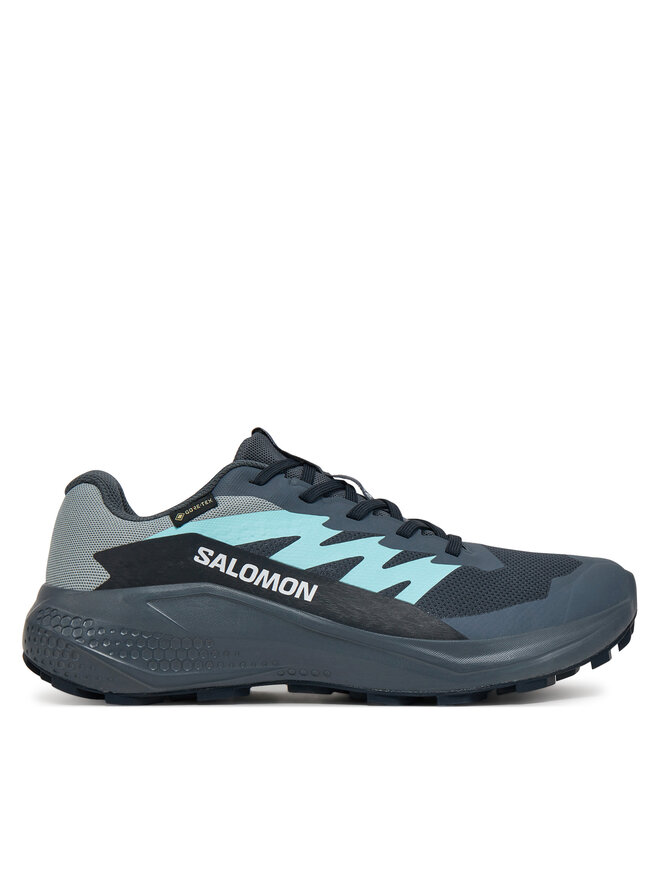 Кроссовки Alphaglide Gore-Tex L47802500 Salomon, серый