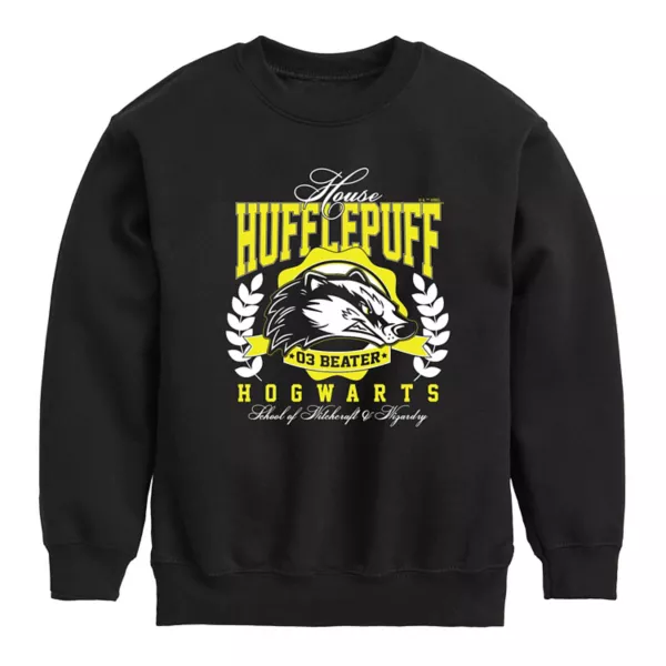 

Мальчиковая толстовка Hufflepuff с начесом для колледжа 8-20 Harry Potter, черный