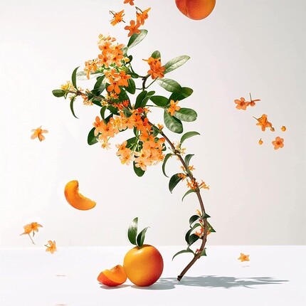 Мужская парфюмерная вода FLEUR Eau Fraîche Parfumée Fleur d'Osmanthus — фото 3