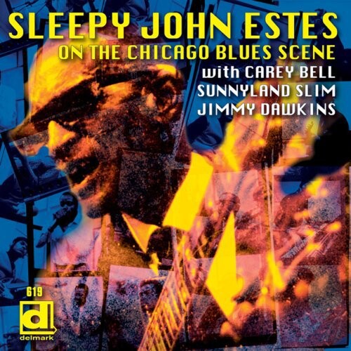 

CD диск Estes, Sleepy John: Brownsville Blues