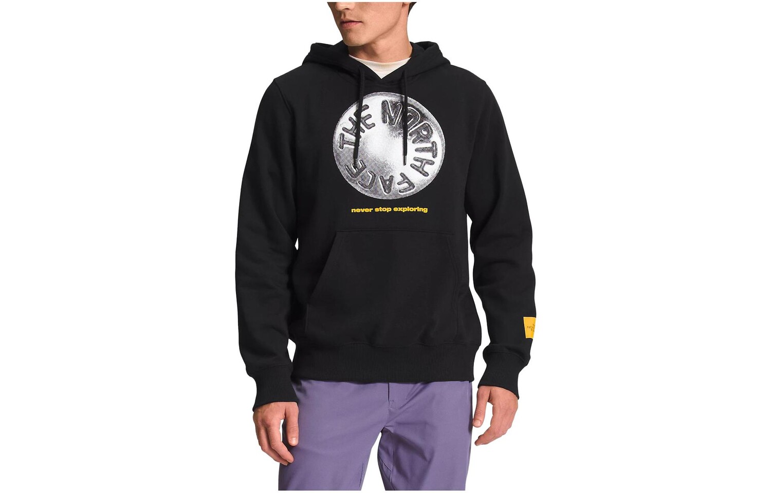 

THE NORTH FACE Мужская толстовка, цвет Black