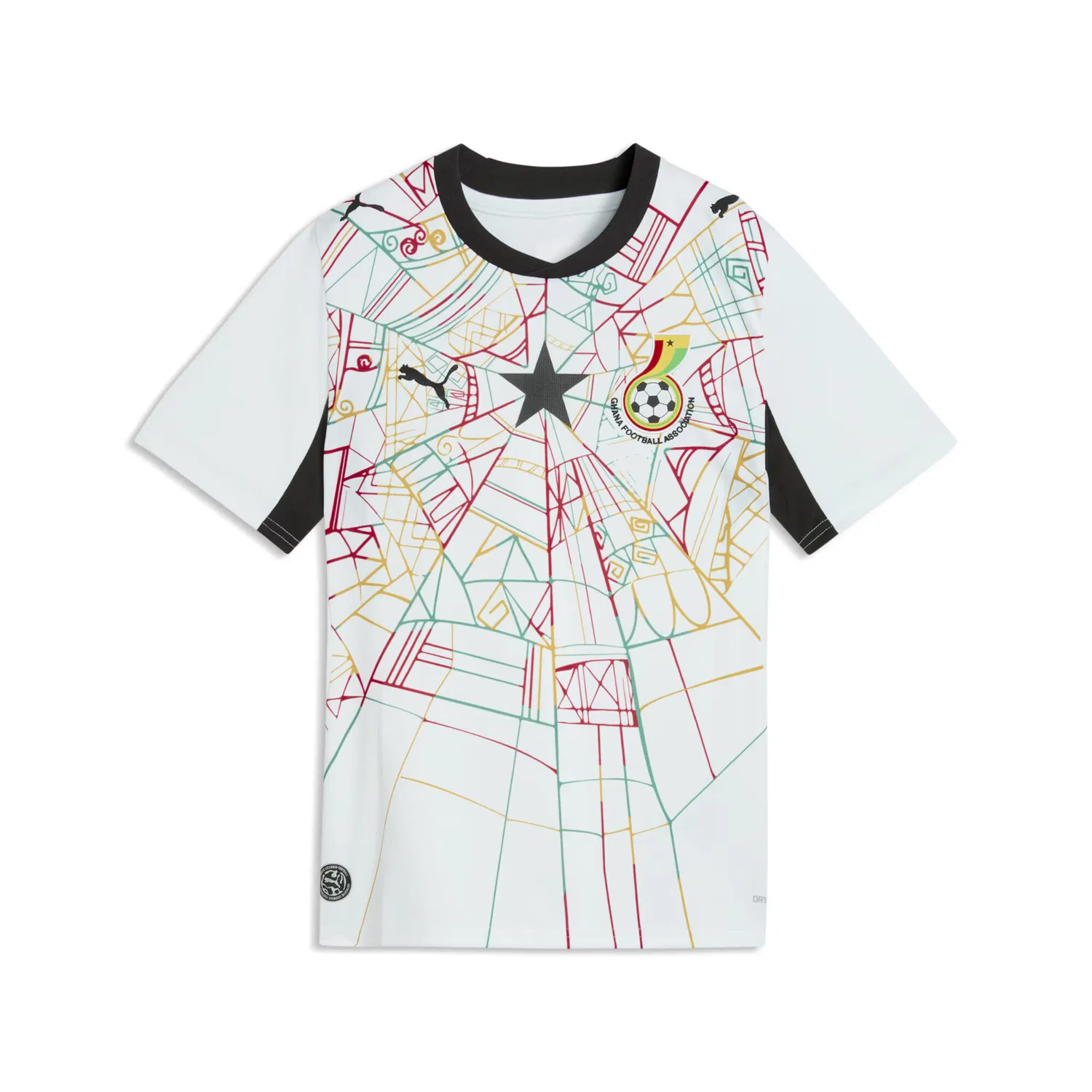 Спортивная футболка 'Гана 2026' Puma, White