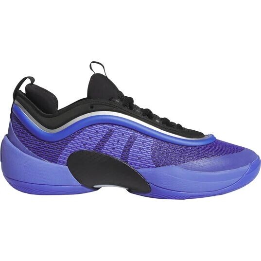 

Баскетбольные кроссовки D.O.N. Issue 6 adidas, цвет Cobblu/Cblack/Bluspa