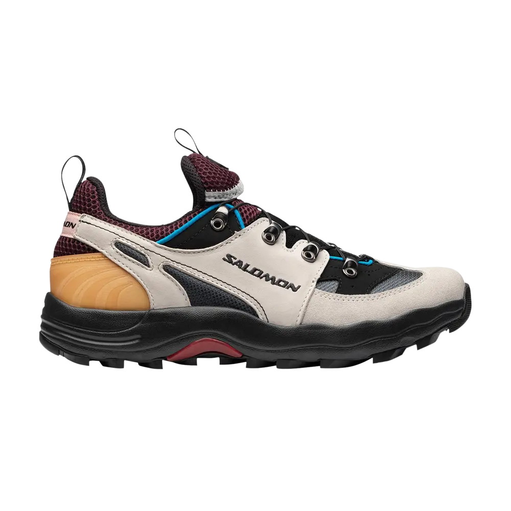 

Кроссовки Raid Wind Advanced Salomon, серый