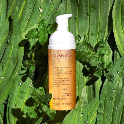 Крем для лица Clarins — Нежный обновляющий очищающий мусс Пенящийся мусс — фото 3