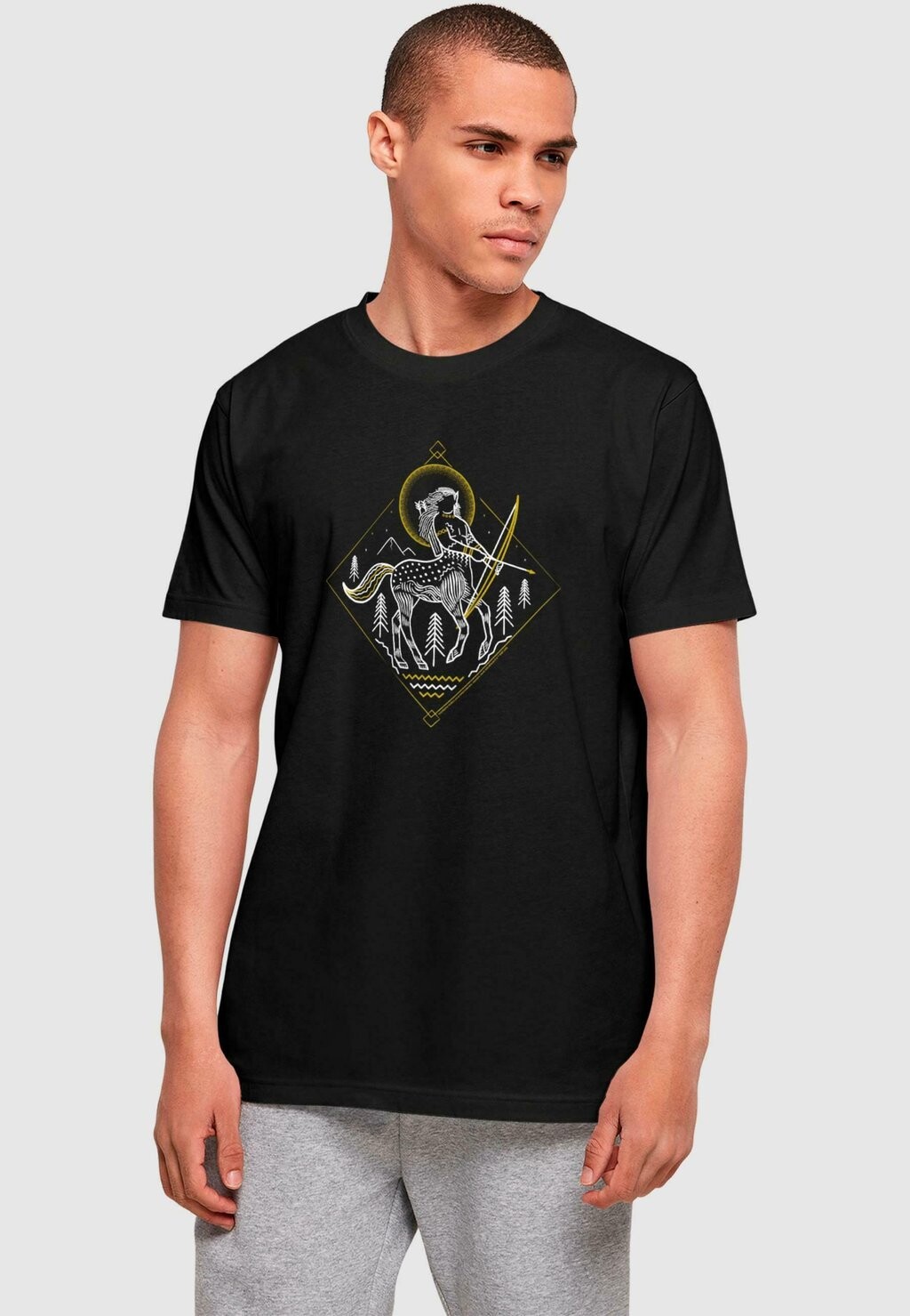 

Футболка с принтом HARRY POTTER CENTAUR LINE ART ABSOLUTE CULT, черный