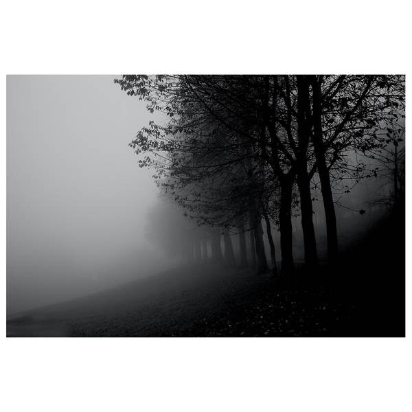 

Картина на холсте LegendArte Nebel zwischen den Bäumen, серый
