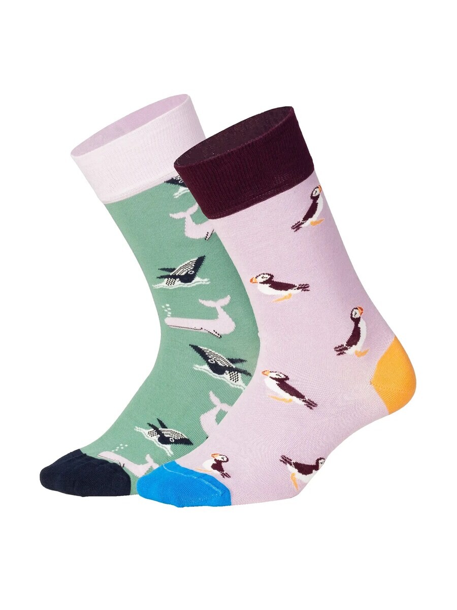 

Носки DillySocks Socks Water Enthusiasts, цвет pastel green/rose