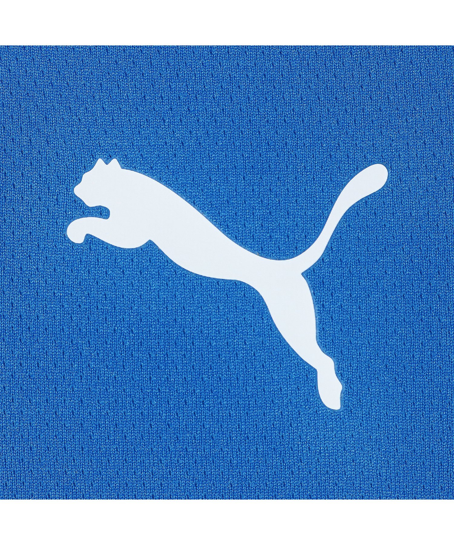 Детская футбольная игровая футболка TEAMRISE JR 120-160 см PUMA, Electric Blue L — фото 3