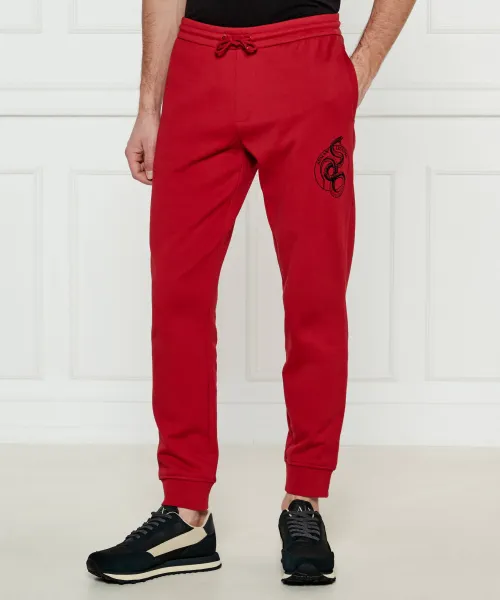 

Спортивные штаны Regular fit Armani Exchange, красный