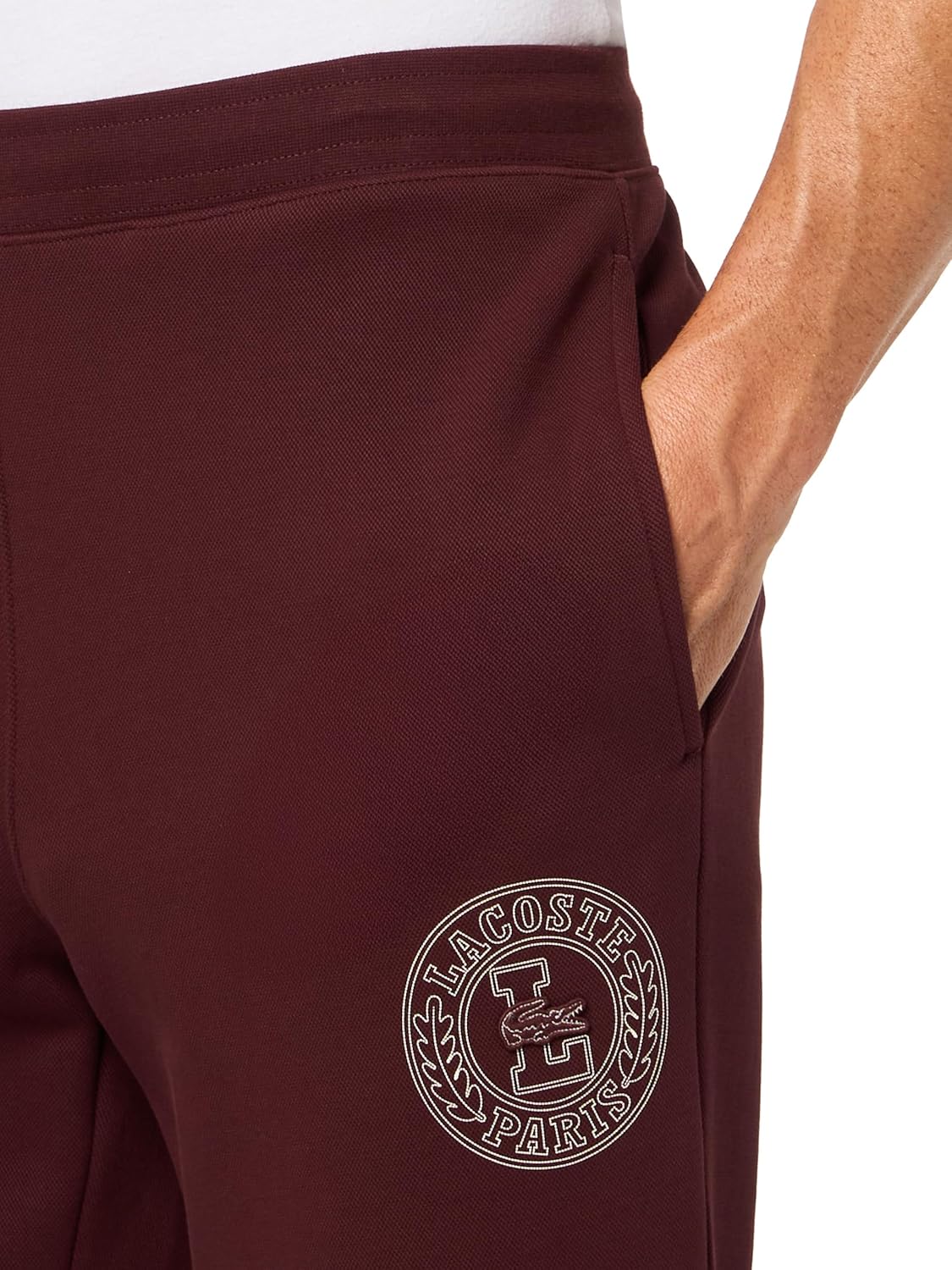 Мужские спортивные штаны Lacoste с тиснением Croc Double Face, Expresso — фото 3