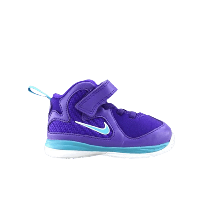 

Кроссовки LeBron 9 TD 'Summit Lake Hornets', фиолетовый