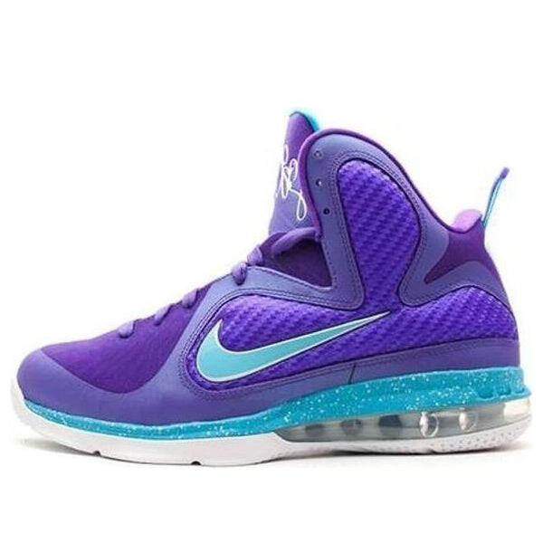 

Кроссовки леброн 9 Nike, фиолетовый