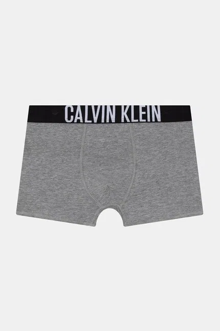 Боксеры детские из хлопка с эластаном 2 шт Calvin Klein Underwear, серый — фото 2