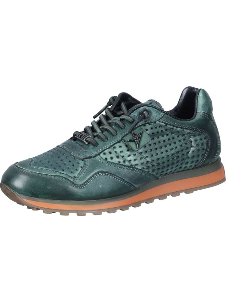 

Туфли на шнуровке Cetti Schnürschuhe, цвет musgo